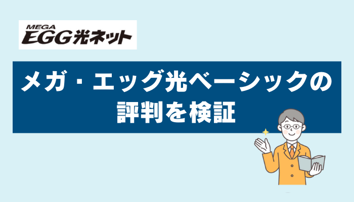 メガ・エッグ 光ベーシックの評判を検証